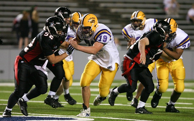 在土耳其国 在土耳其国