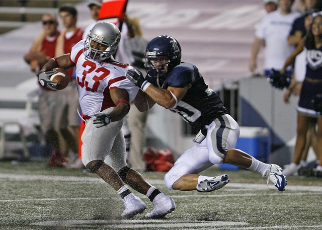 发展的潮流 发展的潮流